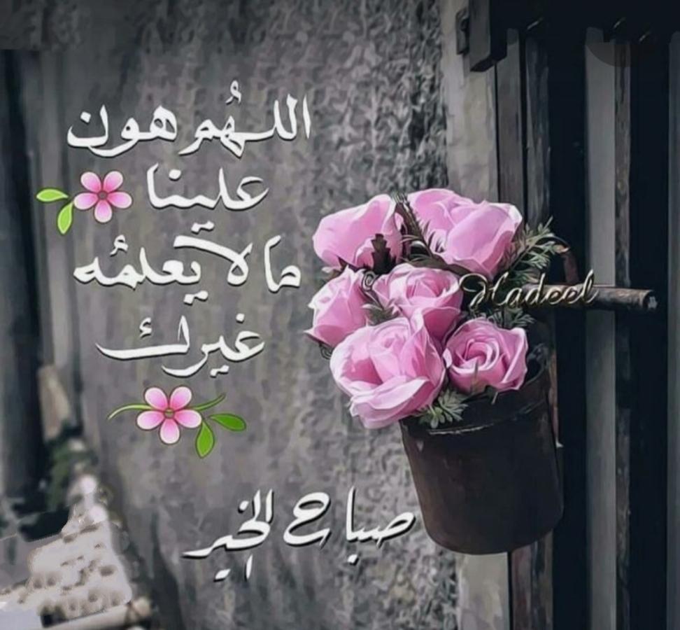 uploaded image