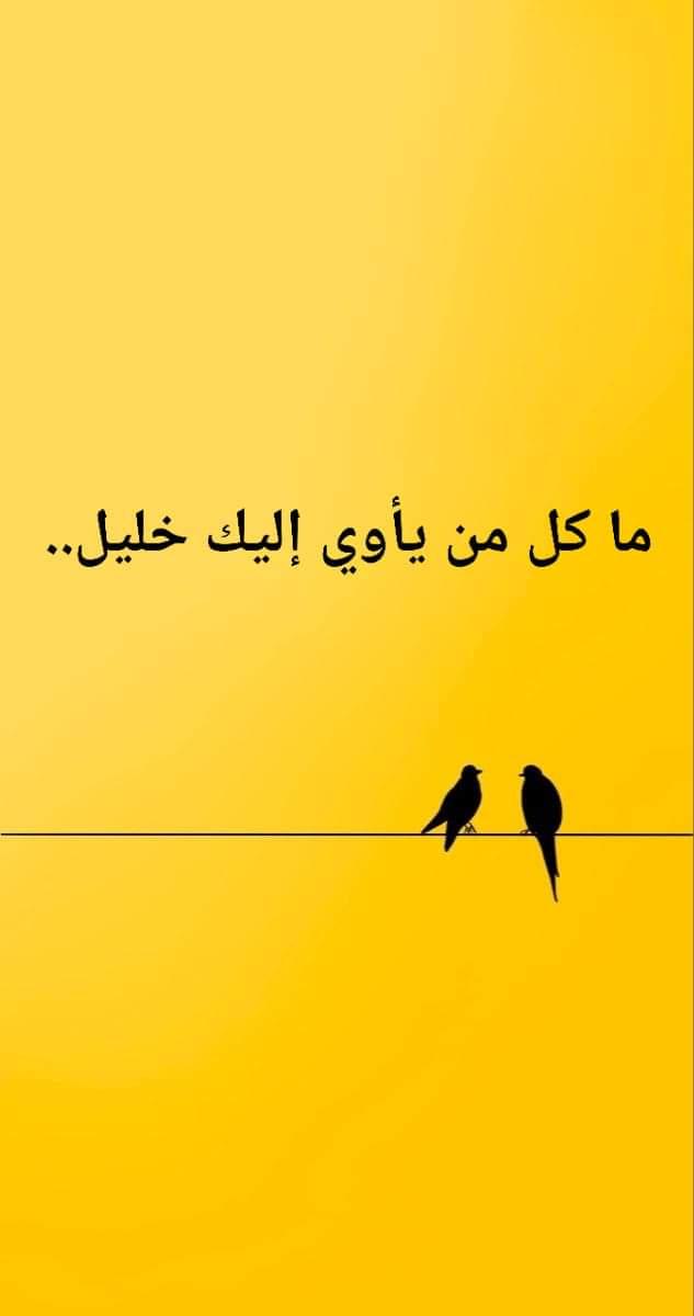 uploaded image