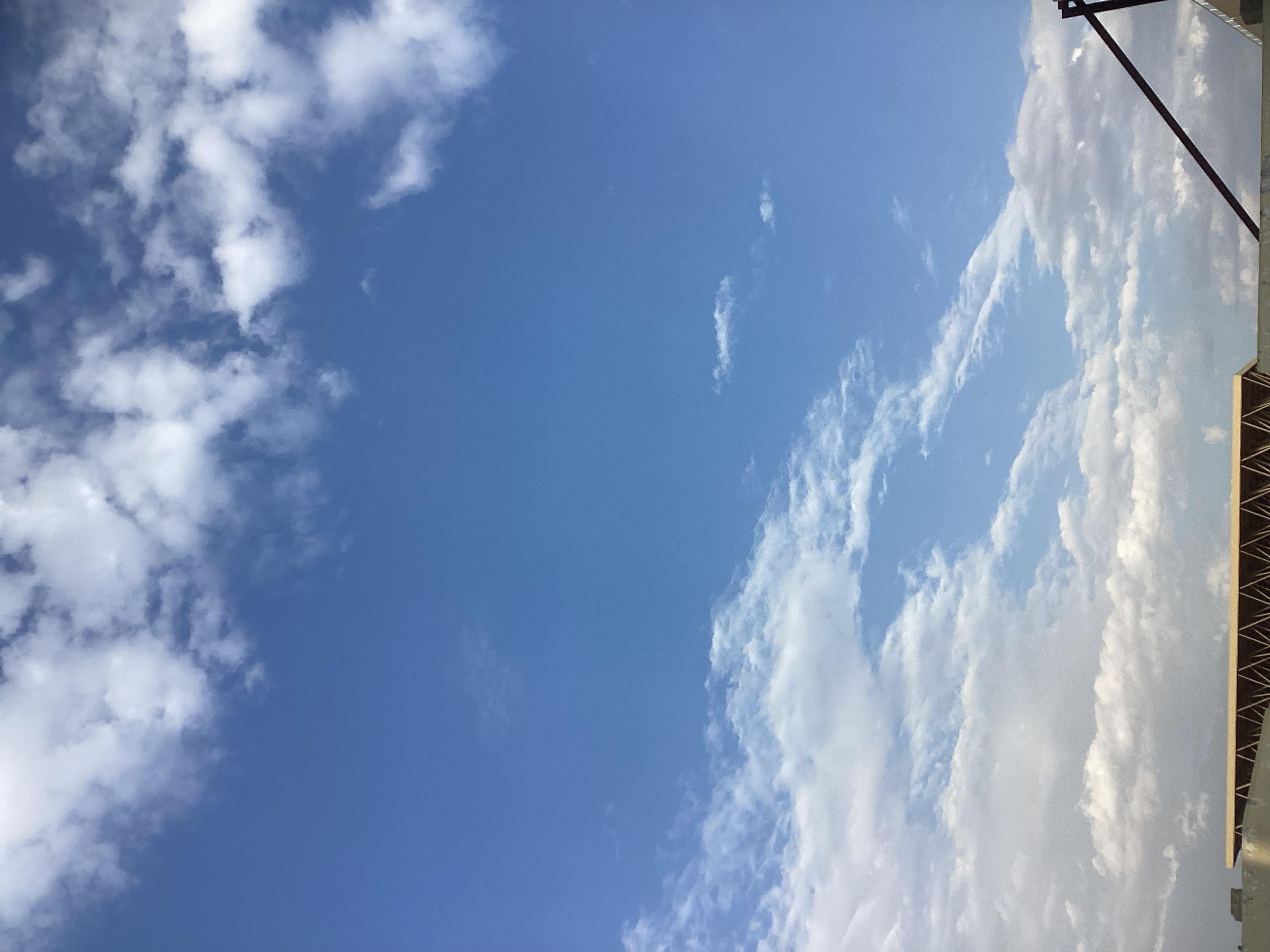 uploaded image