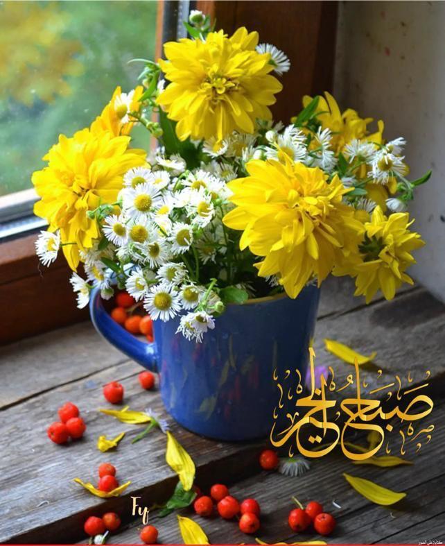 uploaded image