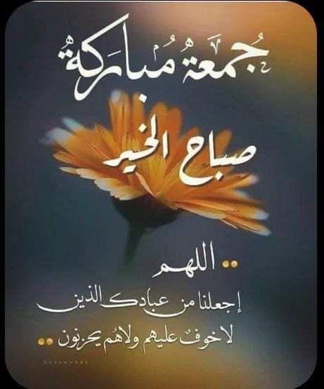 uploaded image