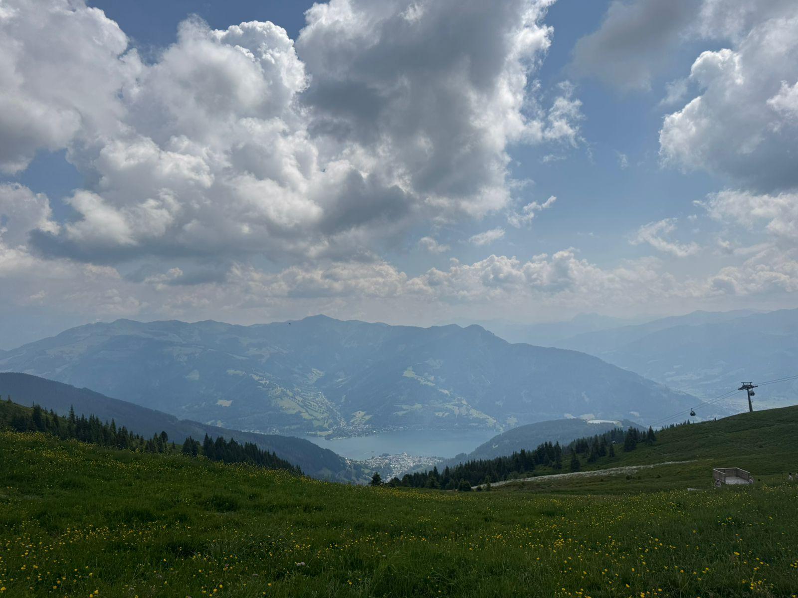 uploaded image