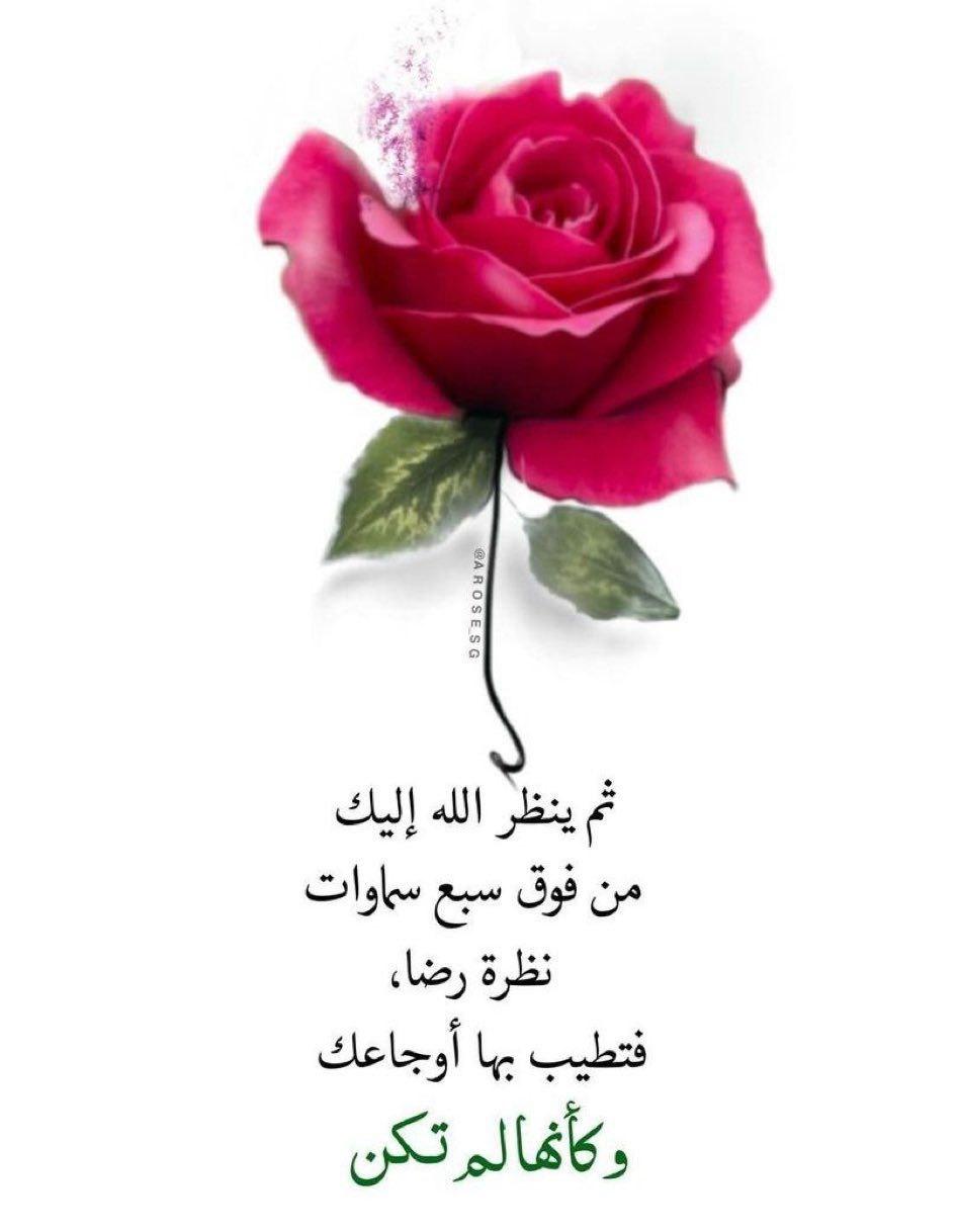 uploaded image