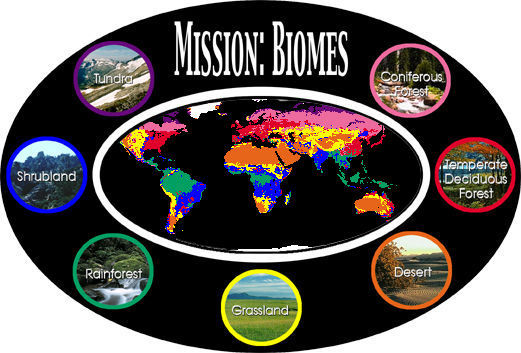 Biomes | Environment Quiz - Quizizz Biomes | Environment Quiz - Quizizz