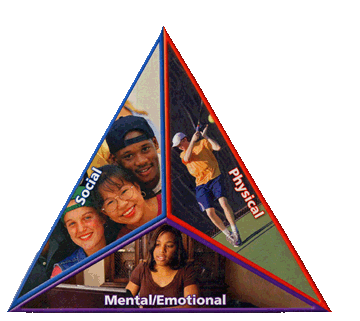 health triangle other quiz quizizz health triangle