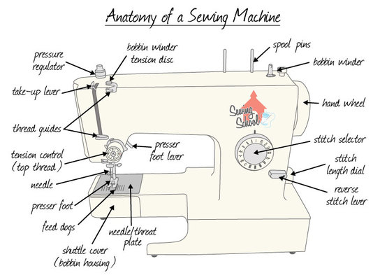 Understanding The Sewing Machine Other Quiz Quizizz Amazing How To Set Up A Sewing Machine Understanding The Sewing Machine Other Quiz Quizizz Amazing How To Set Up A Sewing Machine