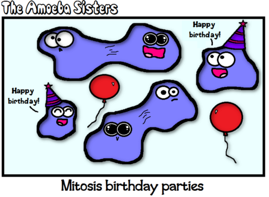 Amoeba Sisters: Mitosis vs. Meiosis Challenge! Quiz - Quizizz