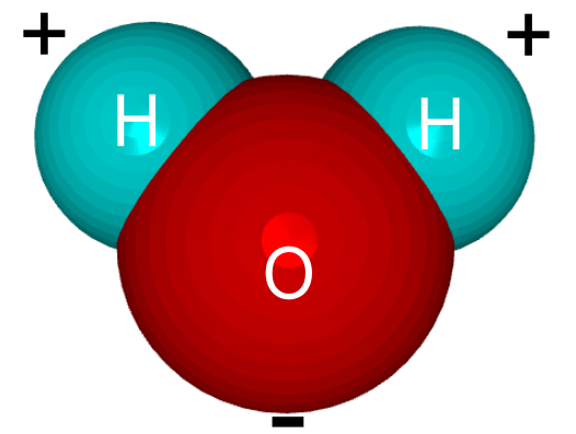 Nobel Prize Laureate Proves Water Has Memory - Energy Therapy Memories, Spirit s