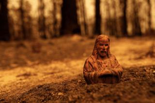 Mogo Cemetery Batlow - Stephen Dupont 