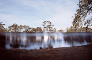 Undercurrent - Peta Clancy