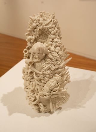 Piping Plover Charadrius melodus view 2