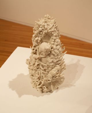 Piping Plover Charadrius melodus view 3