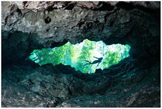 Swimmer - Jennifer Adler