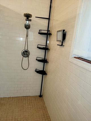Master Bathroom Shower 
