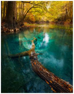 Autumn's Emerald - Paul Marcellini