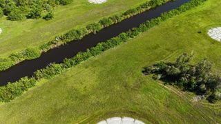 Walleye way on canal