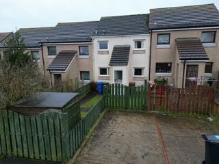Back Garden