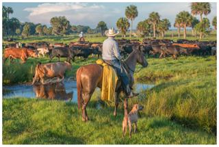 Buck Island Ranch - Carlton Ward