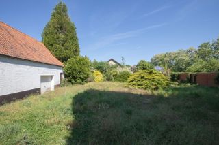 29156OVLBROUWERIJ54_28