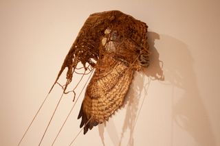 Synergic Fray view 4