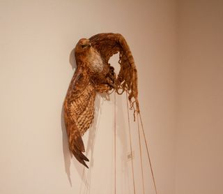 Synergic Fray view 3