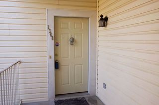 DSCF5199a