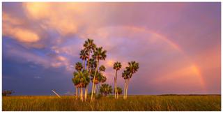 Marsh Sunset - Paul Marcellini