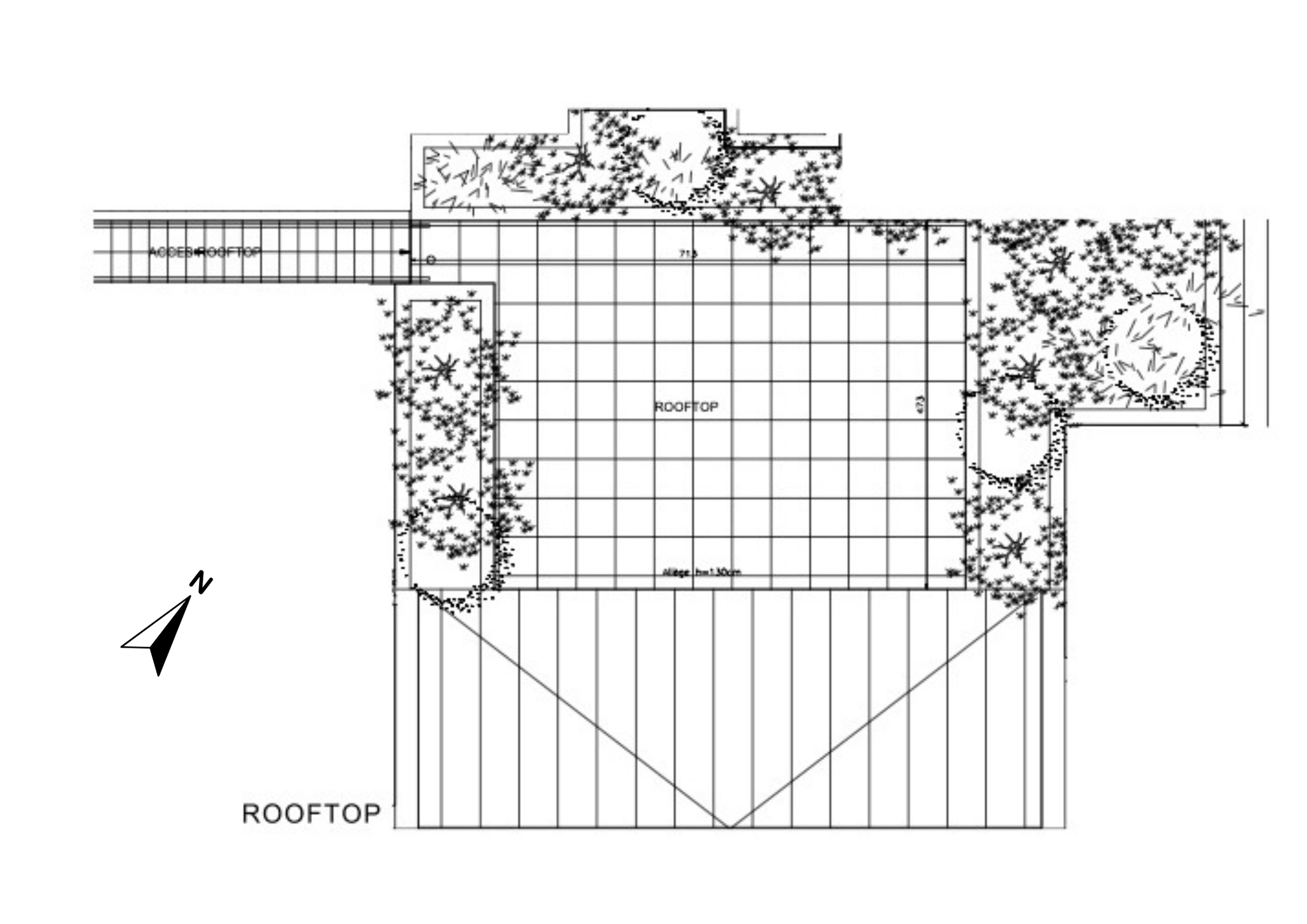 ROOF TOP
