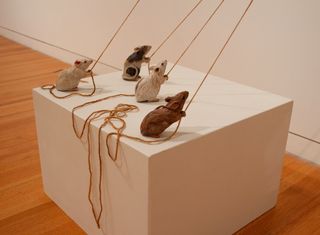 Synergic Fray view 5