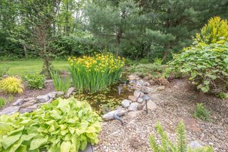 wedgewood10