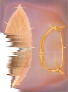 Poraka - Kate Robertson