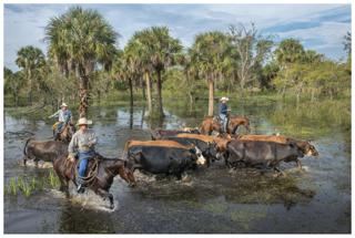 Horse Creek Ranch - Carlton Ward