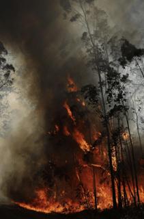 Hillsville NSW - Stephen Dupont