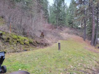 Side Yard 
