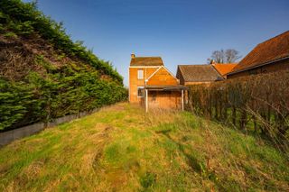 Tuin