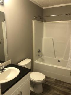 Main Bath