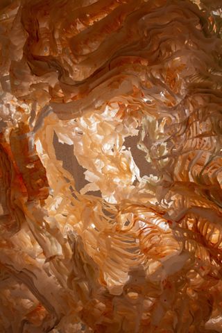 Yellowstone_Close Up