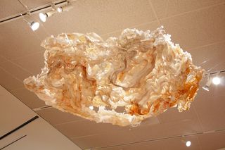 Yellowstone Pulp view 2