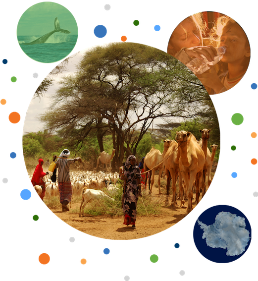 {Why} we exist - {Open Geospatial Data} for Positive Impact