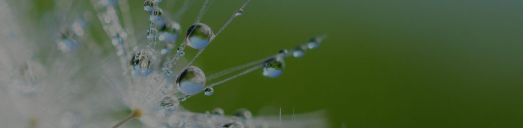 Raise-A-Dream-Getting-Crystal-CLEAR-On-Your-Dream-So-Sponsors-Say-YES Raise-A-Dream-Getting-Crystal-CLEAR-On-Your-Dream-So-Sponsors-Say-YES
