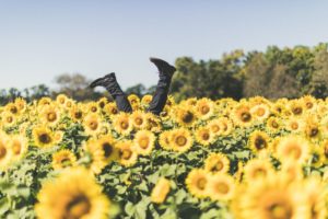 THRIVING AS A SELLER OR BUYER IN A SELLER’S MARKET