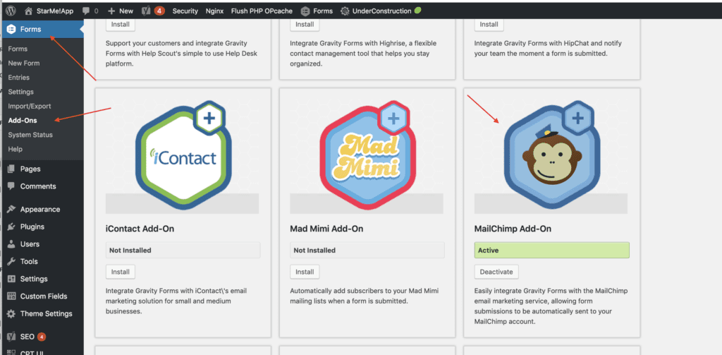 Using the Gravity Forms MailChimp Add On