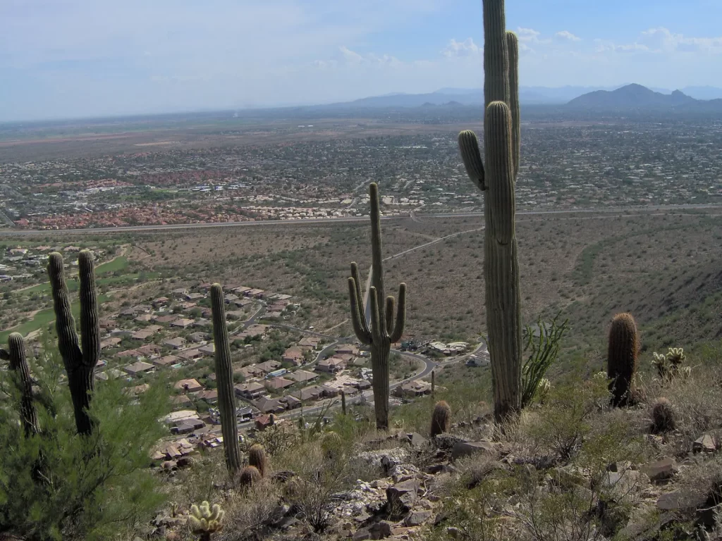 Phoenix Sky Harbor to Scottsdale: Shuttle, Rideshare and Private Transfer Options Compared