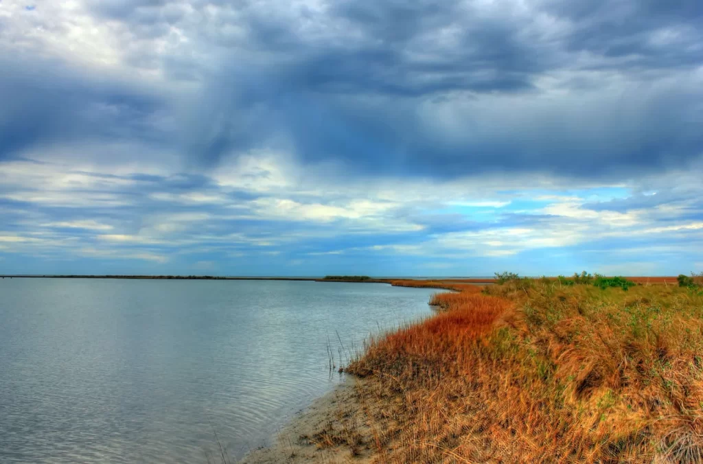 Houston Airport to Galveston Cruise Port: IAH and Hobby Transfer Guide