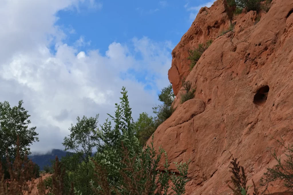 Denver Airport to Colorado Springs: Shuttle vs Rental Car vs Private Transfer