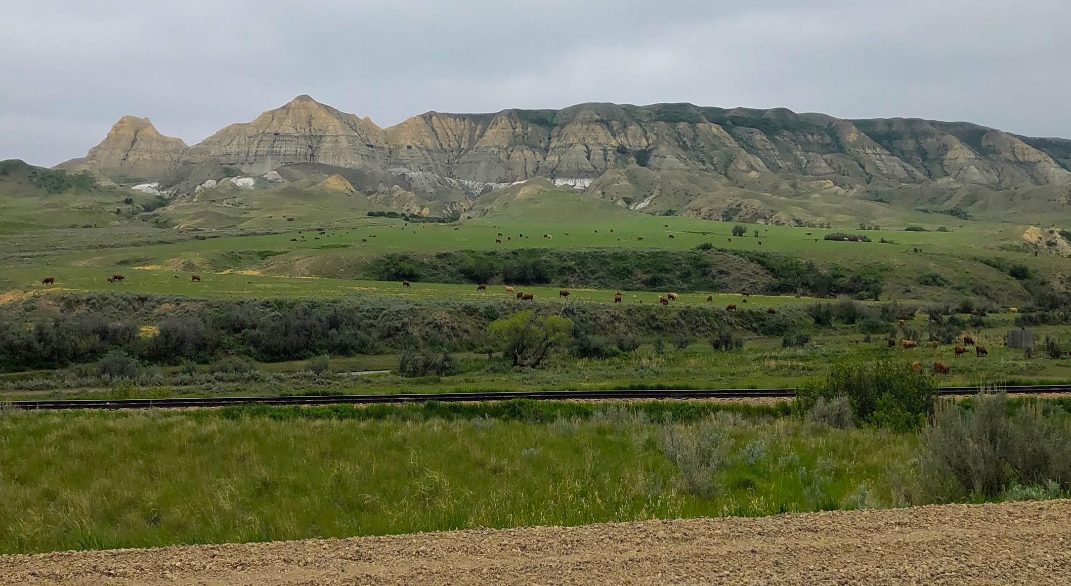 Whitemud clays at Ravenscrag, SK