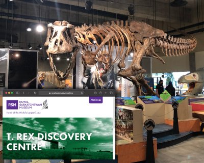 Scotty at the T. rex discovery centre