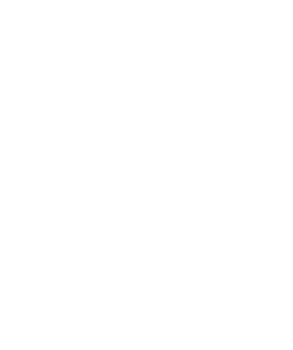 nessl