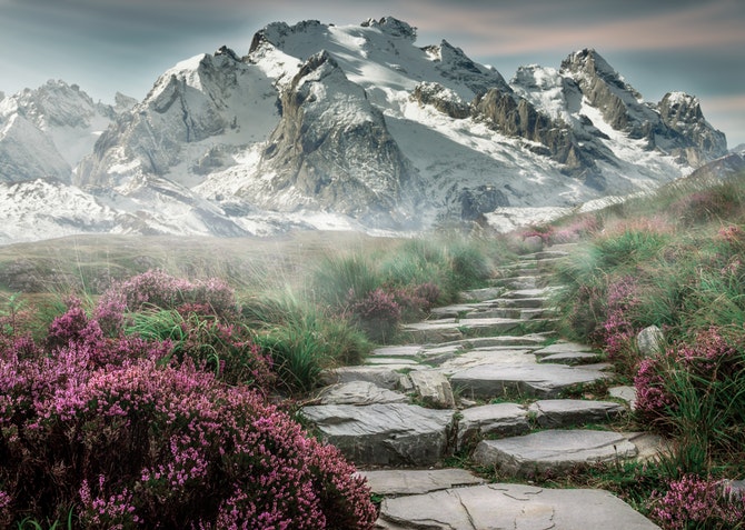 Steps