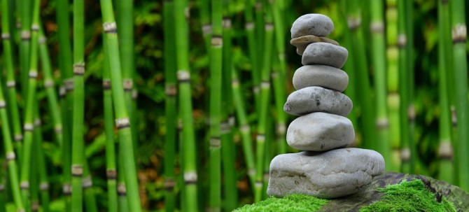 Green Bamboo